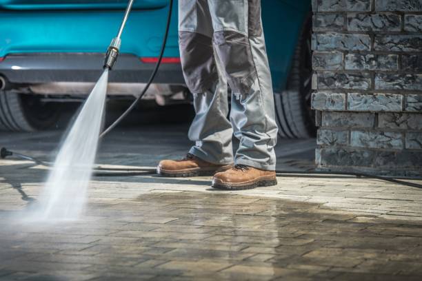 Best Rust Removal  in Livonia, MI